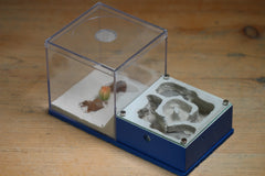 Lair Formicarium
