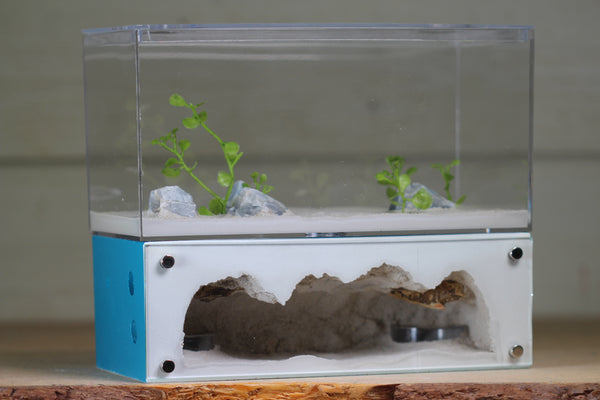 Hearth (1233 Aqua Blue)