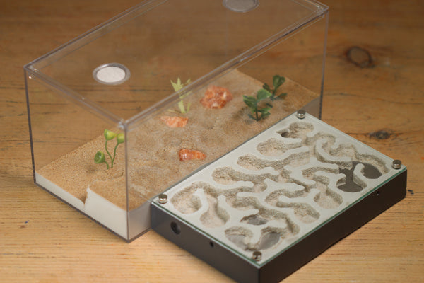 Mini Labyrinth (Grey 3309)(Canyon)