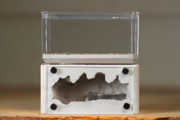 Mini Hearth (Bone 8160)