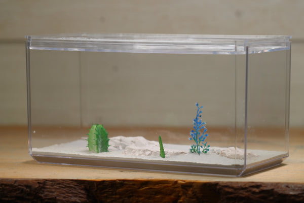 Foraging Area 111 (9x5x5)