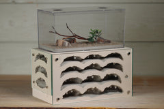 Nucleus 360 Type III