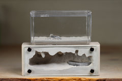 Mini Hearth XL (Type III)