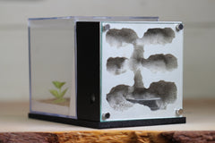 Fortress Formicarium