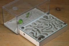 Labyrinth Black Friday/Holiday Sales Page