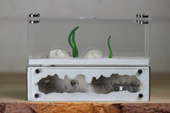 Mini Hearth XXL Black Friday/Holiday Sales Page