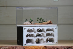 Nucleus Holiday Sales Page