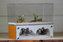 Hearth (Original) Holiday Sales