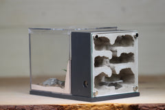 Ready-To-Ship Fortress Formicarium (Type III)
