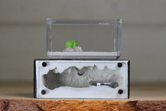 Mini Hearth XL Holiday Sales Page