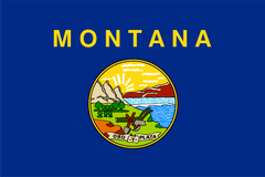 Montana Ants