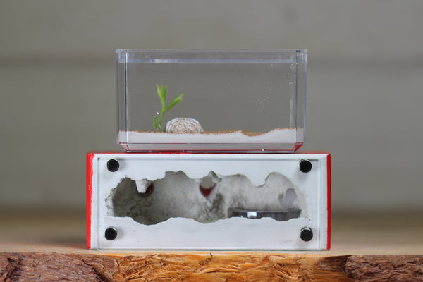 Mini Hearth XL (Red 3937)