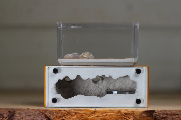 Mini Hearth XL (Terra 3939)