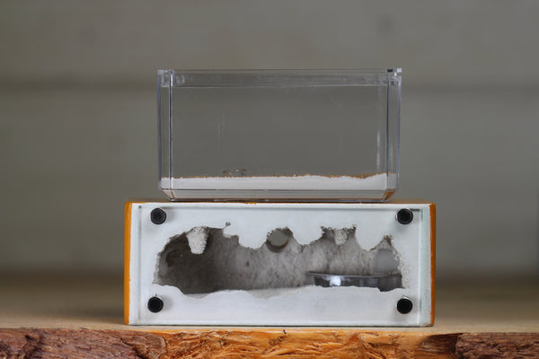 Mini Hearth XL (Terra 3940)