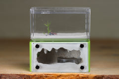 Mini Hearth (Lime 3270)