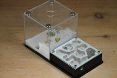 Fallen Fortress (BF) (Black 3201)(MQ Box)