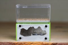 Mini Hearth (Lime 3273)