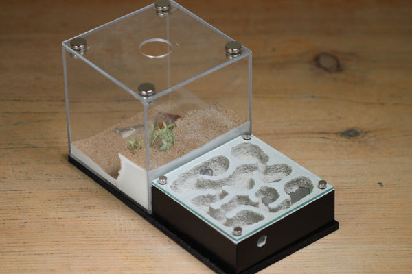 Fallen Fortress (BF) (Black 3202)(MQ Box)