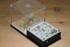 Fallen Fortress (BF) (Black 3203)