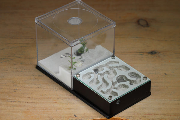 Fallen Fortress (BF) (Black 3204)