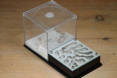 Fallen Fortress (BF) (Black 3205)