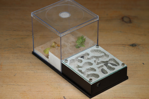 Fallen Fortress (BF) (Black 3206)