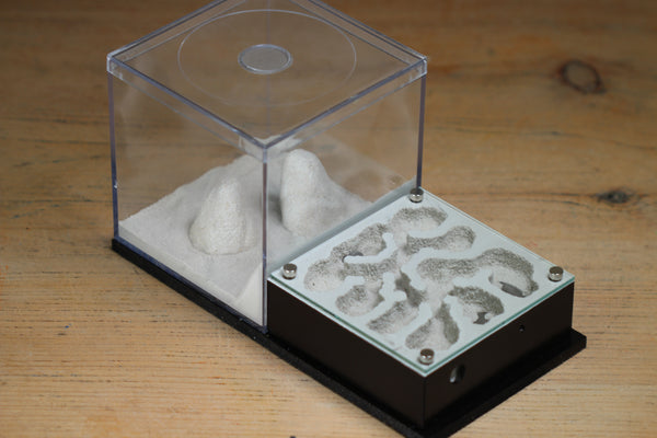 Fallen Fortress (BF) (Black 3208)