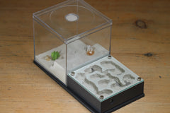 Fallen Fortress (BF) (Grey 3217)