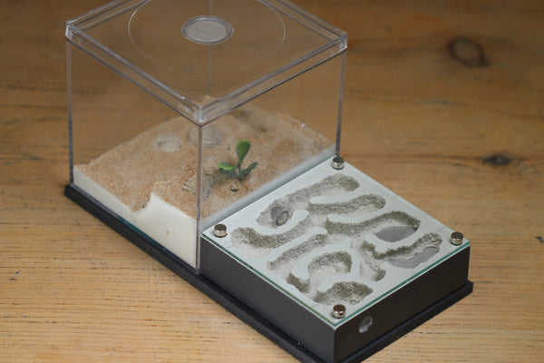 Fallen Fortress (BF) (Grey 3218)