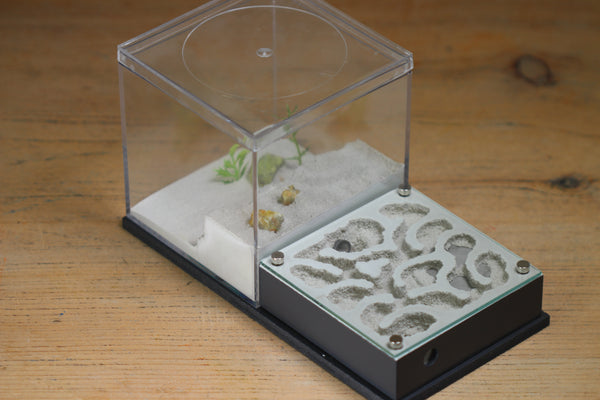 Fallen Fortress (BF) (Grey 3219)