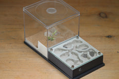 Fallen Fortress (BF) (Grey 3220)