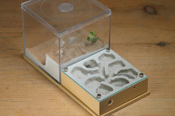 Fallen Fortress (BF) (Beige 3222)