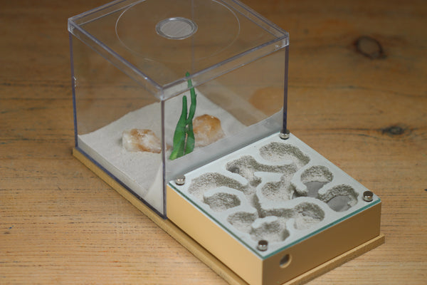 Fallen Fortress (BF) (Beige 3224)