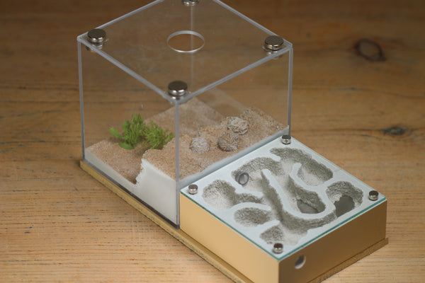 Fallen Fortress (BF) (Beige 3221)(MQ Box)