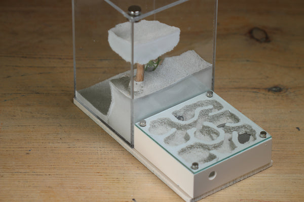 Fallen Fortress (BF) (Bone 3224)(X-Tall Box)