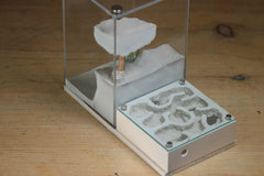 Fallen Fortress (BF) (Bone 3224)(X-Tall Box)