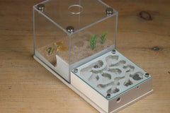 Fallen Fortress (BF) (Bone 3225)(MQ Box)