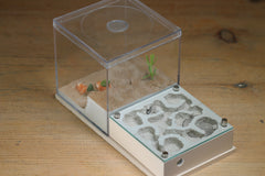 Fallen Fortress (BF) (Bone 3227)