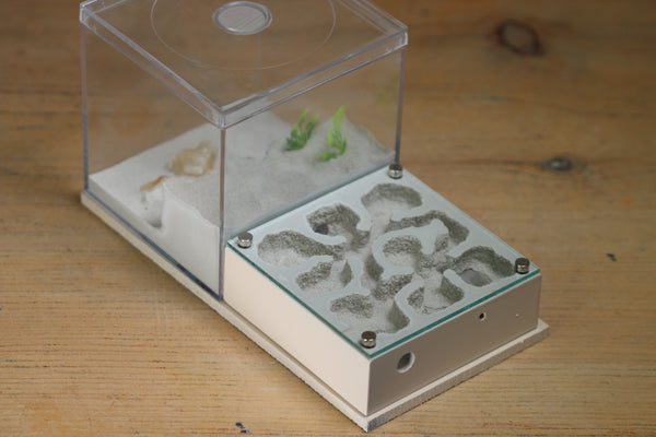 Fallen Fortress (BF) (Bone 3228)