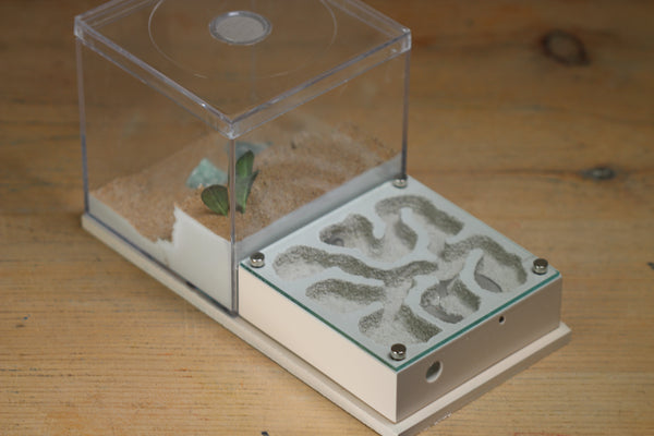 Fallen Fortress (BF) (Bone 3230)