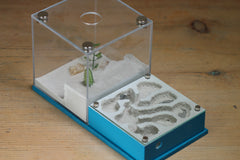 Fallen Fortress (BF) (Aqua Blue 3234)(MQ Box)