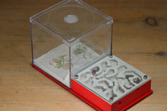 Fallen Fortress (BF) (Red 3238)