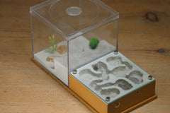 Fallen Fortress (BF) (Brown 3240)