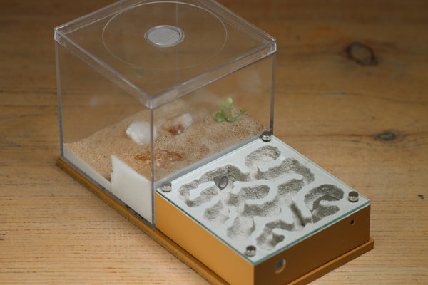 Fallen Fortress (BF) (Brown 3241)