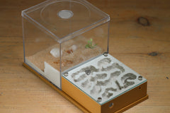 Fallen Fortress (BF) (Brown 3241)