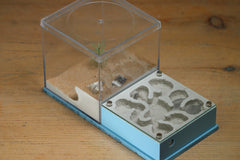 Fallen Fortress (BF) (Light Blue 3244)