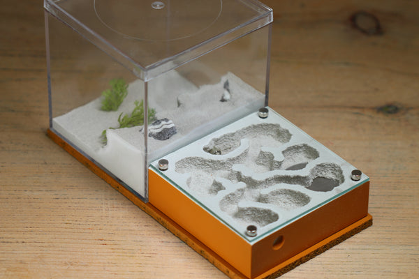 Fallen Fortress (BF) (Terra 3247)