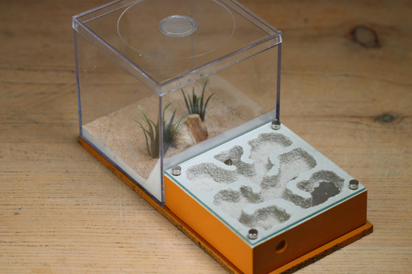 Fallen Fortress (BF) (Terra 3248)