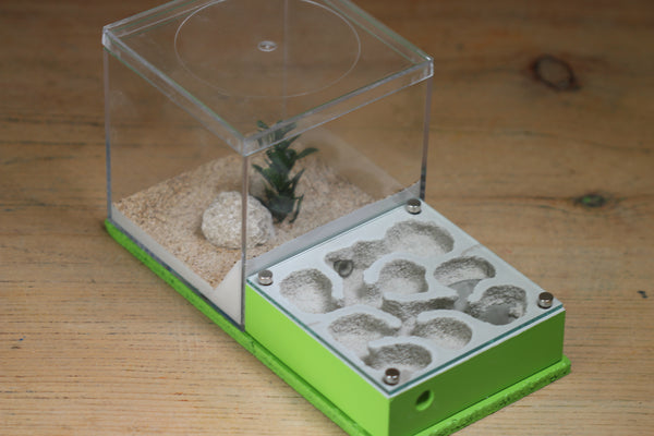 Fallen Fortress (BF) (Lime 3249)