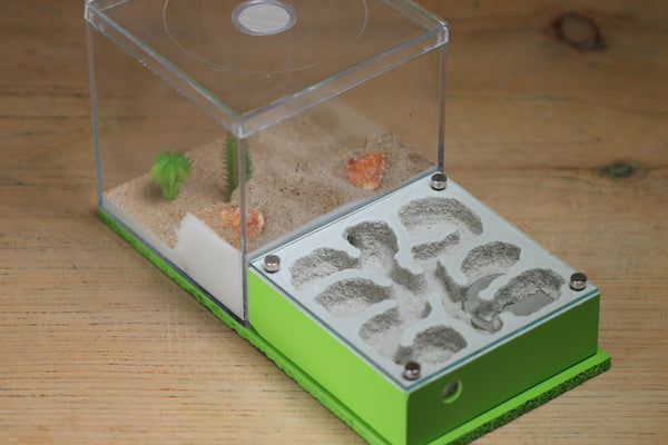 Fallen Fortress (BF) (Lime 3250)